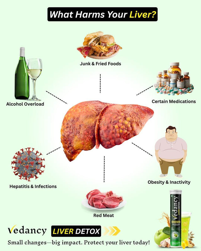 Vedancy HepaFizz – Herbal Liver Wellness Effervescent Tablets | Milk Thistle (Silymarin 250 mg), Vitamin B9 & B12 + 6 Ayurvedic Herbs