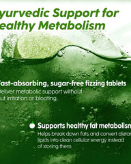 Apple Cider Vinegar & Moringa Effervescent Tablets | Weight Management & Craving Control