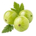Amla