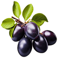 Jamun